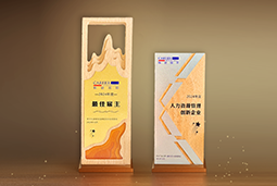 伟德国际1946国际一举斩获“2024年度中国区最佳雇主”等多项大奖